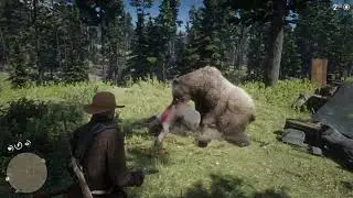 Red Dead Redemption 2 - Bear  Mauling