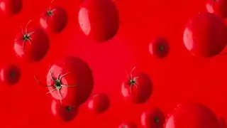 Animated falling tomato background-Copyright Free