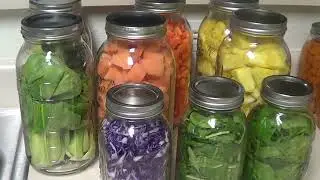 Juicing with Ms J,  Making Breakfast with Ms J and Garden Update