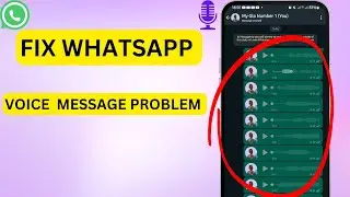 How To Fix WhatsApp Voice Message Problem