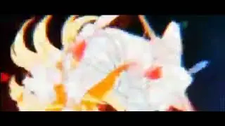 Волшебницы из тик тока