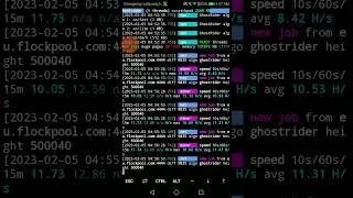 Raptoreum mining android Snapdragon 430