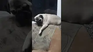 Кукла спит. Она устала...