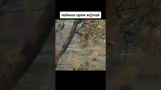 КВ-2 Бревномёт