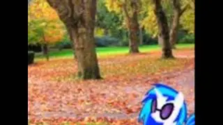 MLP FiM in real life pictures