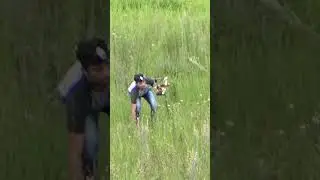 DOG ATTACK PART 1
