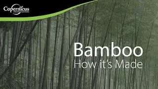 Bamboo: How it's made