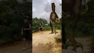 Dinosaur in the mountain | Vfx edit | reels | tricks  # shorts