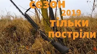Сезон полювання 2019. Всі постріли.