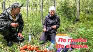 По грибы на Урале 2021.