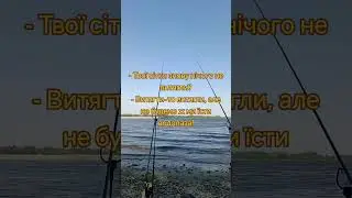 10 сентября 2024 г.