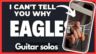 How to Play I Can't Tell You Why GUITAR SOLOS by the Eagles Step by Step Tutorial