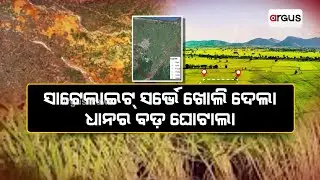 Satellite Surveys Expose Paddy Field Registration Fraud In Odisha's Cuttack District