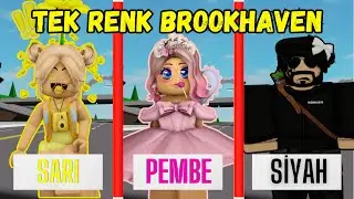 BROOKHAVEN'DA TEK RENK CHALLENGE🏡ARIGİLLER🐝TUBA ARI🐝ROBLOX Brookhaven🏡RP🐝AYŞEM ECE ARI