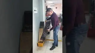 Ламинированная фанера Плайтерра