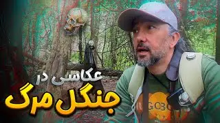 چرا باید برم یه همچین جایی؟؟؟ 🤫🀄️