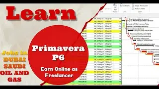 Primavera P6 Learning Tutorial for Beginners in English 