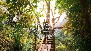 [HookSounds] - In The Jungle
