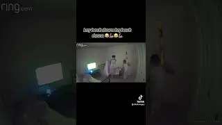 My boys heard loud noises so they hit the floor 😂🤣😂🤷🏽‍♂️ 