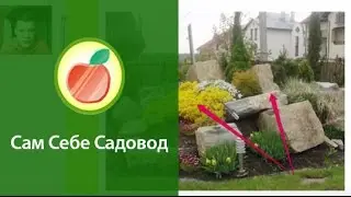 Ошибки в ландшафтном дизайне. Отвечаем на вопрос: 