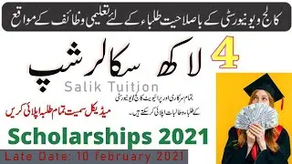 Tabeer Scholarship Program Sindh 2021 || Sindh Government Scholarships