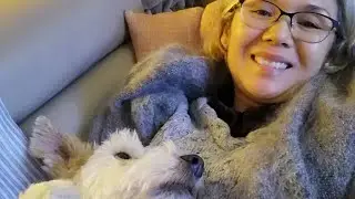 Забавы Ондин, смотреть телевизор и поваляться на диване😄