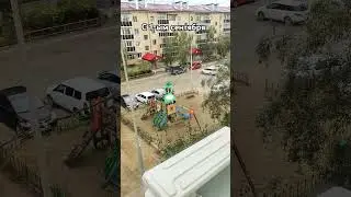 С 1-ым сентября