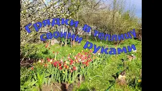 Грядки в теплицу своими руками.