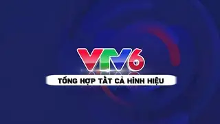 Tổng hợp hình hiệu của kênh VTV6 (Từ 2007 - 10/2022 - 6/2026 nay) - (full version)