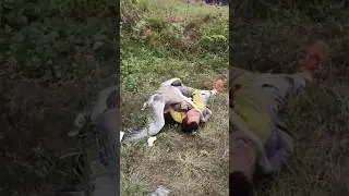 A goose attacked a man😳 