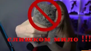 МИРОЧКА ПОКАЗЫВАЕТ ПОДАРОК ОТ ИГОРЯО!!!