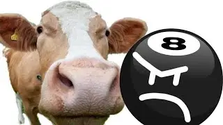 8-Ball Hates Cows