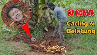 Ibn Buried in a Pit Full of Worms and Maggots