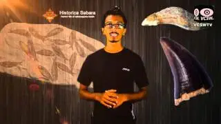 Palentology ot Sri Lanka [ Ep 01] By Eco Astronomy Sri Lanka.