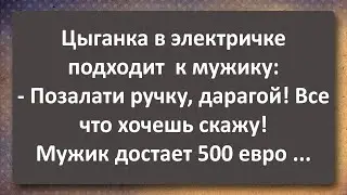 Цыганка в Поезде Взяла в Оборот Мужика! Сборник Самых Свежих Анекдотов!