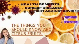 Important facts about citrus fruits / Health Benefits/ Insilico study