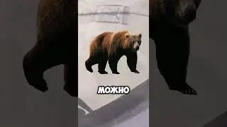 Быстро беги если увидишь это животное/Спидран по ЮШ