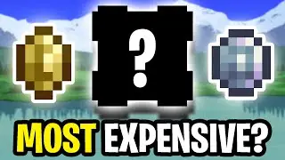 This is the MOST EXPENSIVE ITEM in Terraria...