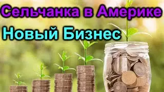 Сельчанка в Америке. Новый Бизнес