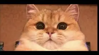 Четвёртый лишний