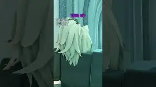 Deepwoken Felinor Hair Combos 