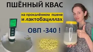 Дешевый и качественный квас на лактобактериях и пшёнке.