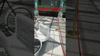 Henry flagler's wicker bicycle