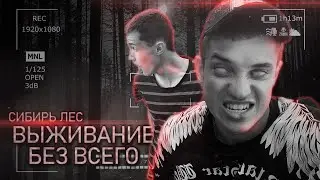 НОЧЬЮ В ЛЕСУ