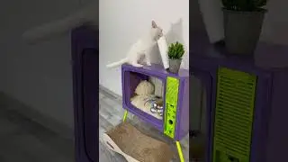 АЛЯСКА, ЧТО ТЫ ДЕЛАЕШЬ?!