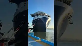 #celebrityascent next to other of our favs, #valiantlady and #carnivalmardigras #cruiseship 🛳️