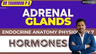 Adrenal Glands Anatomy Physiology Malayalam Endocrine Hormones malayalam Adrenal hormones Malayalam