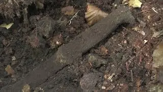 GERMAN BAYONET IN THE FOREST!!!