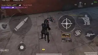 Settings + Loadouts
