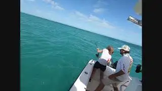 Reel'em In!!!